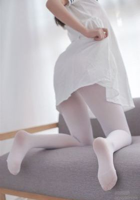 宋plus